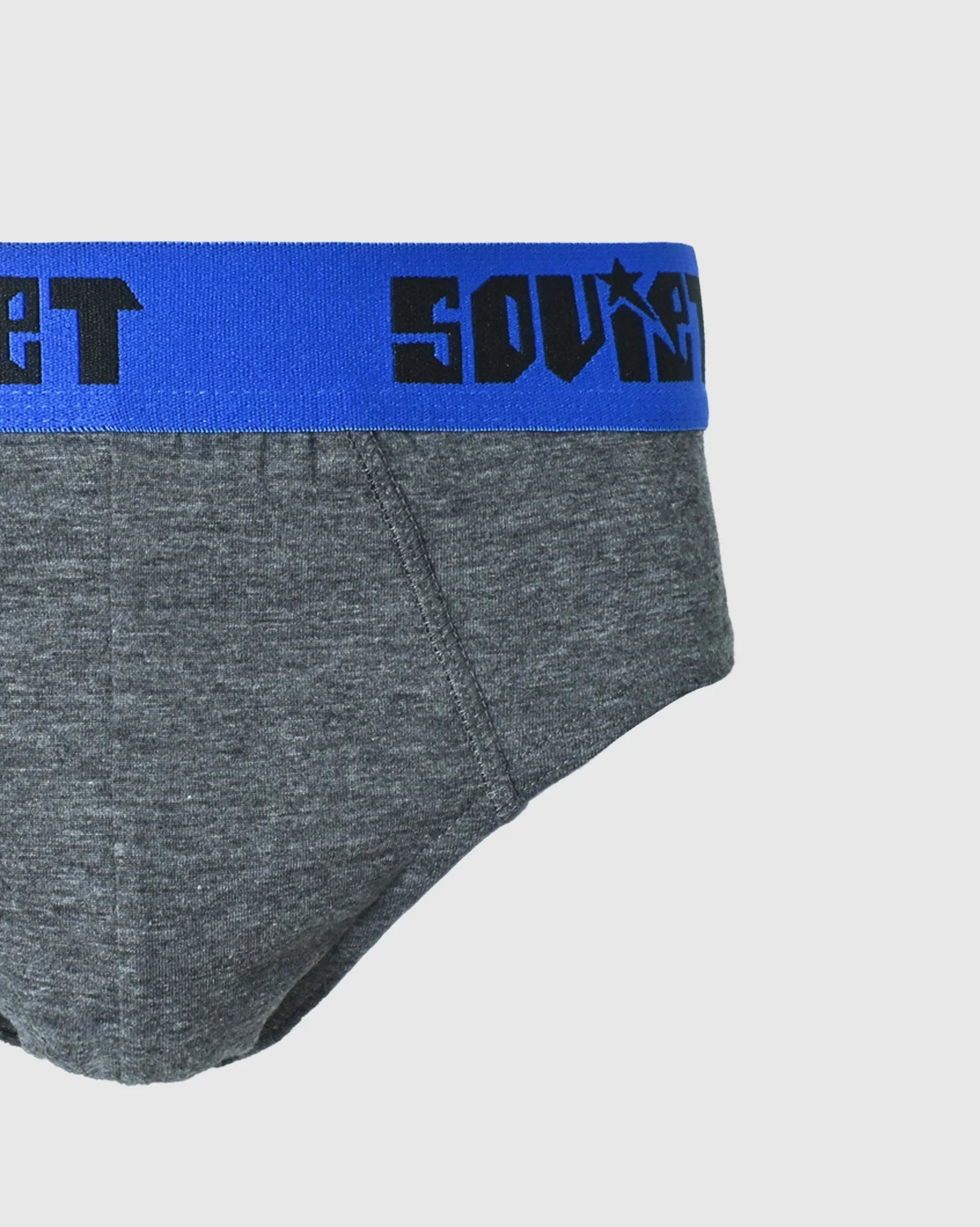 Mens Slate - Premium Brief Underwear
